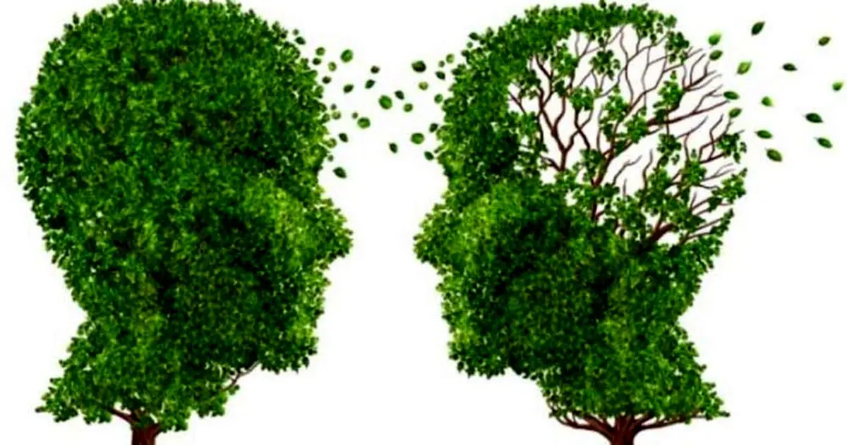 یک تست هوش ساده برای تشخیص زودهنگام آلزایمر
