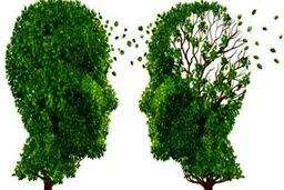 یک تست هوش ساده برای تشخیص زودهنگام آلزایمر