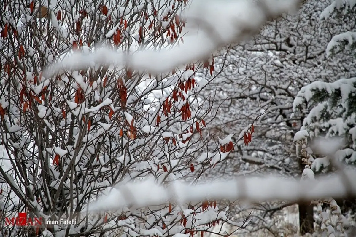 سردترین شهر در ایران کدام است؟+عکس ها