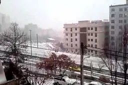 ببینید: برف و بوران شدید در اتوبان یادگار امام - سعادت آباد