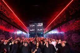 تصاویر / عزاداری در کربلای معلی