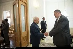 دیدار نماینده ویژه دبیرکل سازمان ملل متحد در امور عراق با ظریف/ تصاویر