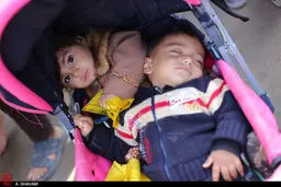 حضور کودکان با سربندهای یا حسین(ع) در پیاده روی اربعین /تصاویر