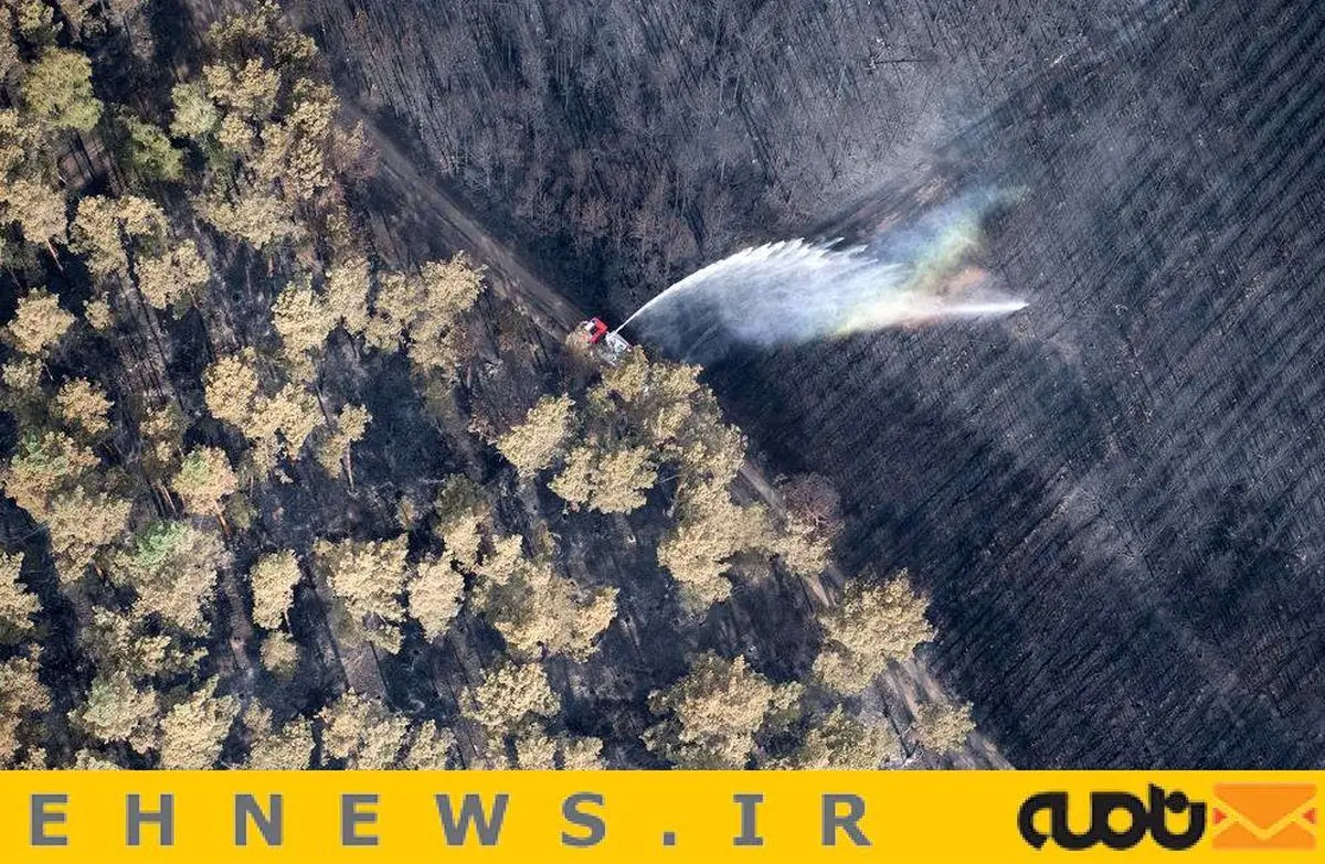 آتش سوزی در دل جنگل / عکس