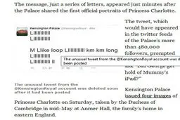 اولین پست توییتری نوه ملکه انگلیس/عکس