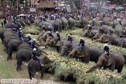 عکس: سفره ناهار بزرگان!