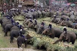 عکس: سفره ناهار بزرگان!