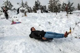 پرسه زدن در بین مجسمه‌های برفی /تصاویر