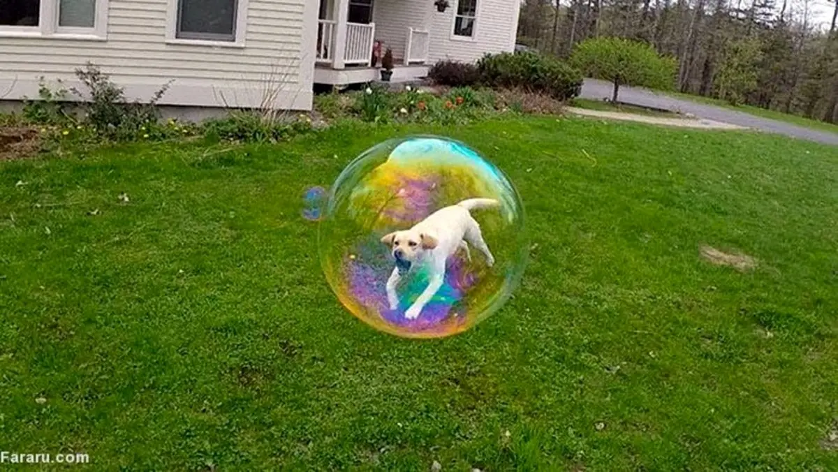 عکس‌های گرفته شده در زمان مناسب!