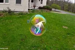 عکس‌های گرفته شده در زمان مناسب!