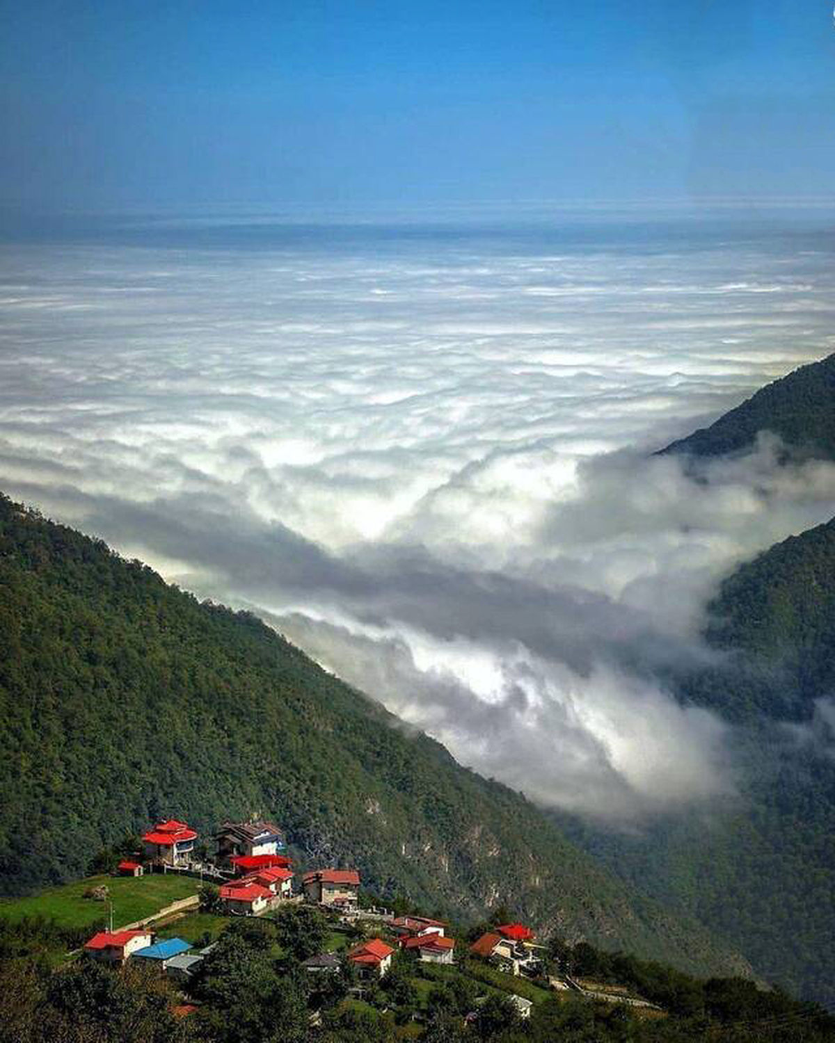 عکسی زیبا از و عروس مازندران