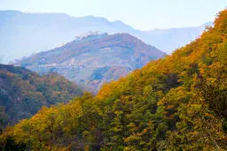 جلوه پاییز در گردنه حیران/ تصاویر