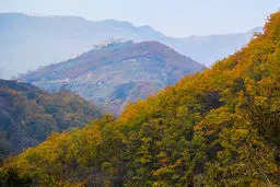 جلوه پاییز در گردنه حیران/ تصاویر