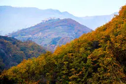 جلوه پاییز در گردنه حیران/ تصاویر