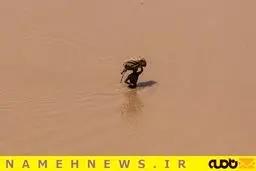 زندگی با بدترین سیل 50 سال اخیر/ تصاویر