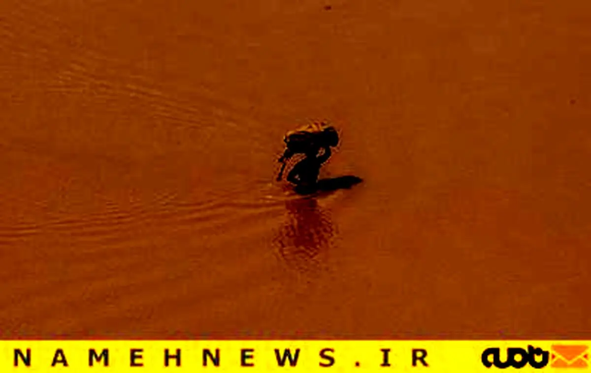 زندگی با بدترین سیل 50 سال اخیر/ تصاویر