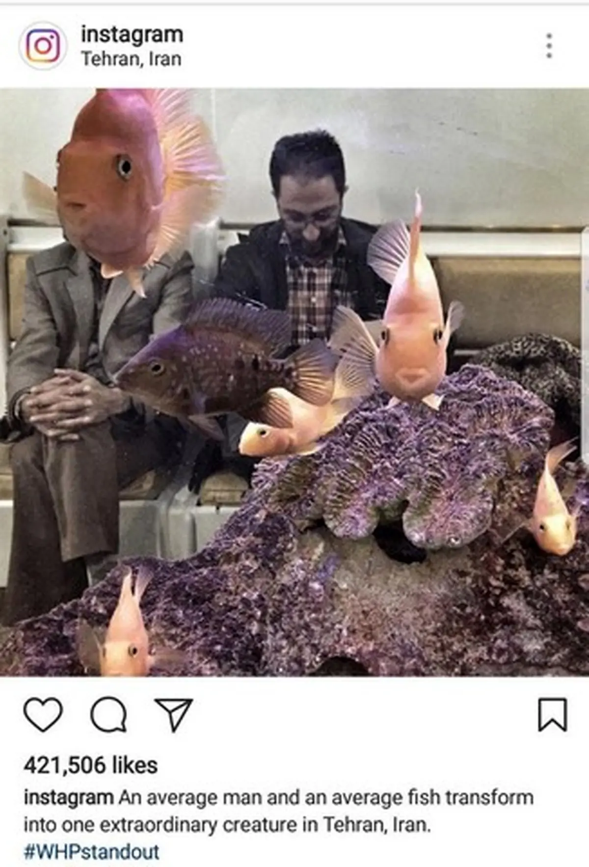 تصویر جالب یک ایرانی، برگزیده اینستاگرام شد/عکس