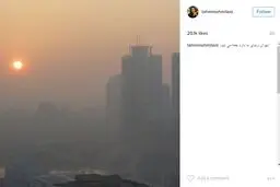 از شعر الناز شاکردوست تا کاریکاتور پریناز ایزدیار/ واکنش هنرمندان به آلودگی هوای تهران+ تصاویر