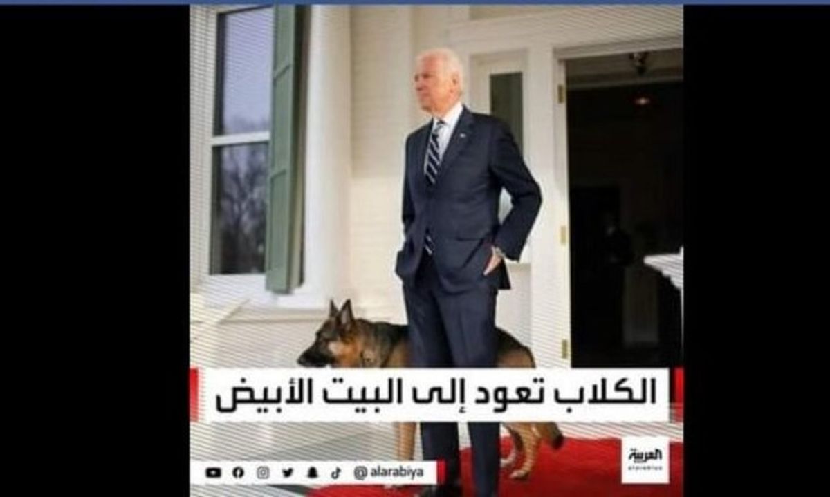 تیتر شبکه العربیه با تصویری از بایدن: "سگها به کاخ سفید برمیگردند"