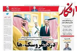 عکس/دزد عروسک‌ها