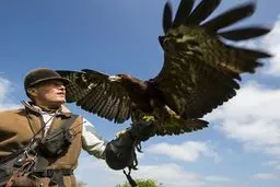 تصاویر / شکار با اسب و عقاب طلایی در قرن بیست و یکم!