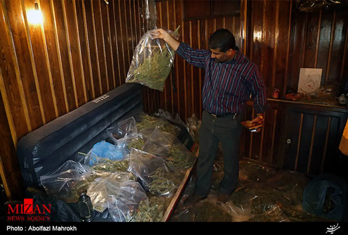 عكس: کشف و ضبط مواد مخدر گراس در یکی از رستوران های فرحزاد