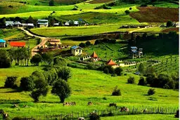 خرید مطمئن ویلا و زمین در شمال