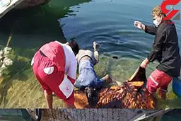 دردناکترین عکس از مرگ دختر 7 ساله در خاش