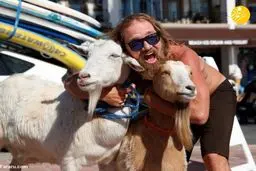 تصاویر خفن از موج سواری با بُزها!