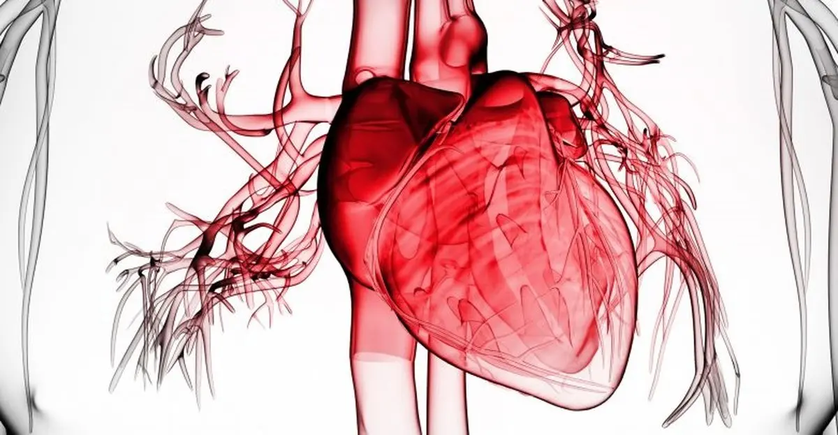 هنگام حمله قلبی چه اقداماتی باید انجام دهیم؟