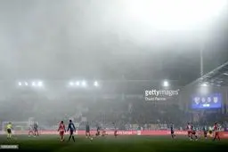 ایستاده در مِه!/ عکس