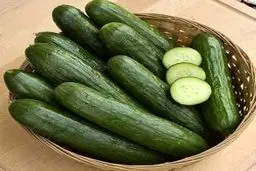 لاغری با خیار + روش استفاده