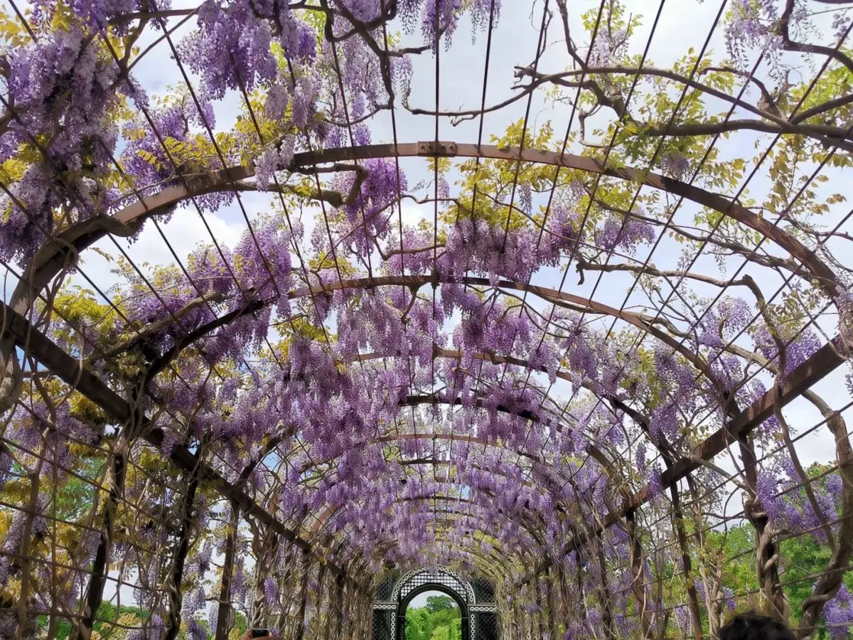 در هر شرایطی که هستید، لطفا عکس بگیرید!