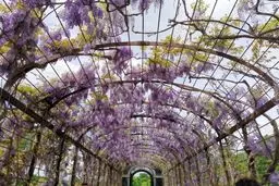 در هر شرایطی که هستید، لطفا عکس بگیرید!