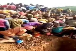 فیلم عجیب از کشف کوه ۹۰ درصد طلا در کنگو!