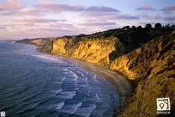 شوق یک خواستگاری دختر را به کشتن داد