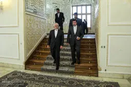 حواشی دیدار عمار حکیم با ظریف/تصاویر