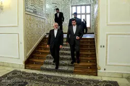 حواشی دیدار عمار حکیم با ظریف/تصاویر