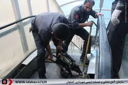 پله برقی یک کارگر را بلعید/تصاویر
