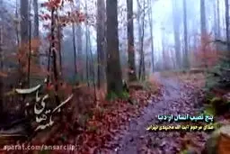 ببینید/نکته‌های ناب آیت الله مجتهدی تهرانی: ۵ نصیب انسان از دنیا