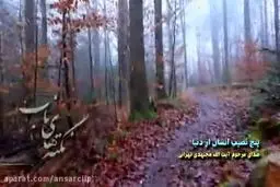 ببینید/نکته‌های ناب آیت الله مجتهدی تهرانی: ۵ نصیب انسان از دنیا