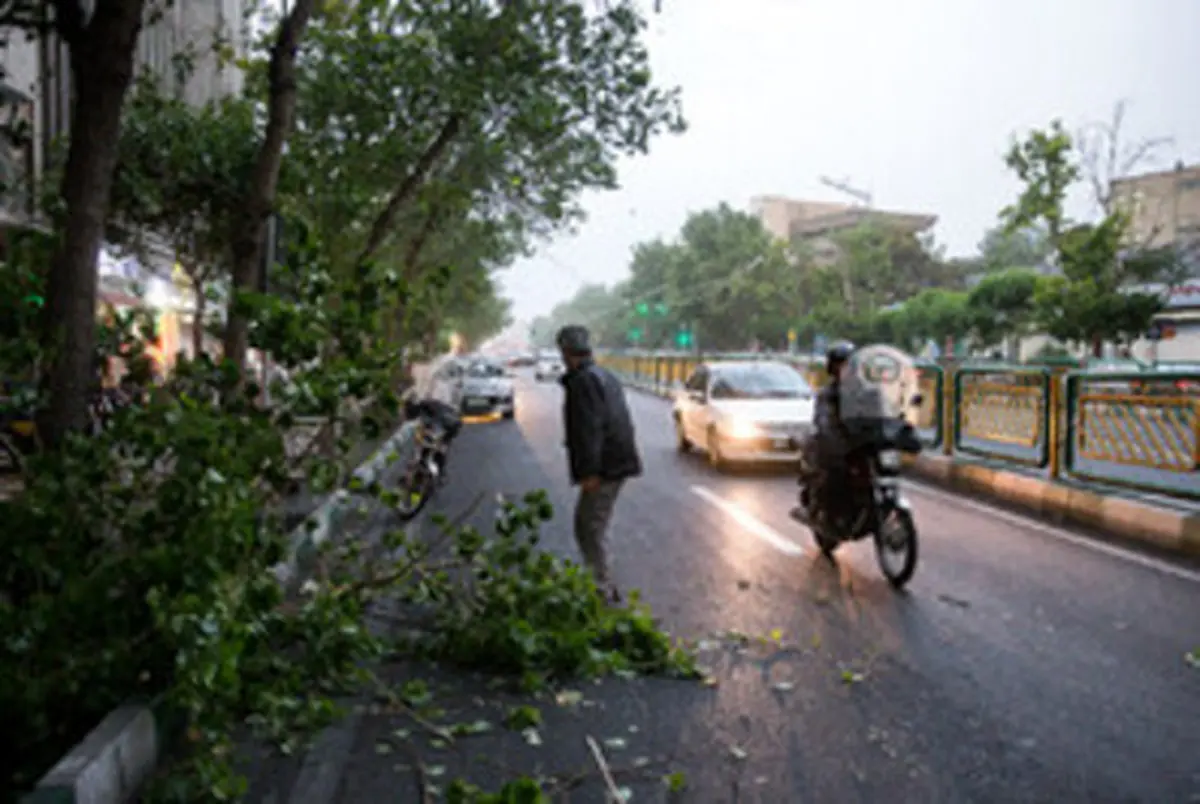 تصاویر: طوفان شدید در تهران