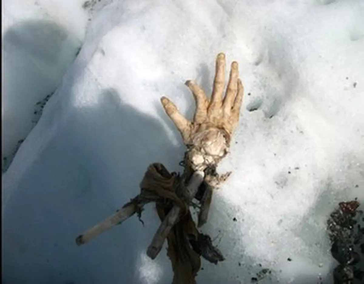 آنچه که از اجساد مسافران یک هواپیما 50 سال پس از سقوط کشف شد!/تصاویر