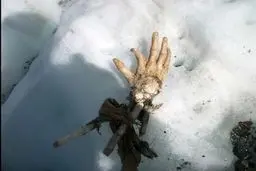 آنچه که از اجساد مسافران یک هواپیما 50 سال پس از سقوط کشف شد!/تصاویر