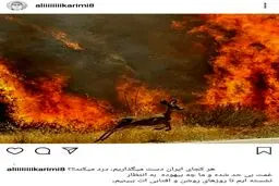 پست جنجالی اینستاگرامی علی کریمی + عکس