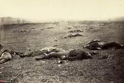 "مزرعه اجساد"، اولین تجربه عکاسی خبری+تصاویر