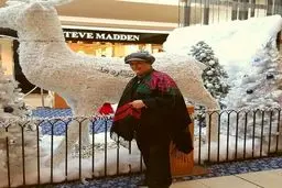 مریم امیرجلالى بازیگر محبوب با تیپ خاص در تورنتو کانادا +عکس