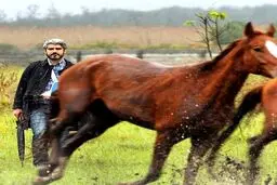 مهدی پاکدل با دست شکسته! +عکس