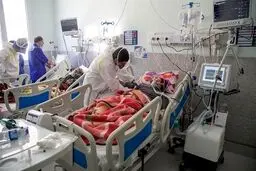 نامه مهم تقوی به قالیباف: دو هفته تهران را تعطیل کنید + متن نامه