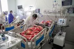 نامه مهم تقوی به قالیباف: دو هفته تهران را تعطیل کنید + متن نامه